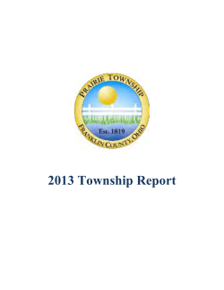 2013 Township Report