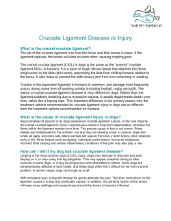 Cruciate Ligament Disease or Injury
