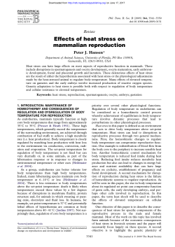 Effects of heat stress on mammalian reproduction