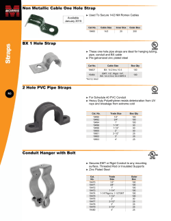 Conduit Hanger with Bolt 2 Hole PVC Pipe Straps BX 1 Hole Strap