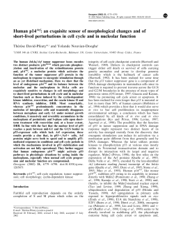 Human p14Arf: an exquisite sensor of morphological