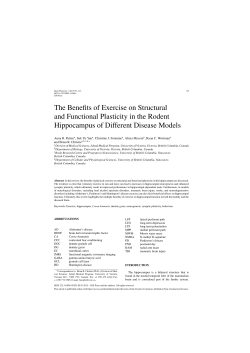 The Benefits of Exercise on Structural and Functional Plasticity in the