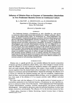 Influence of Dilution Rate on Enzymes of Intermediary