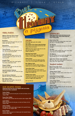 a PDF - Blue Highway Pizza
