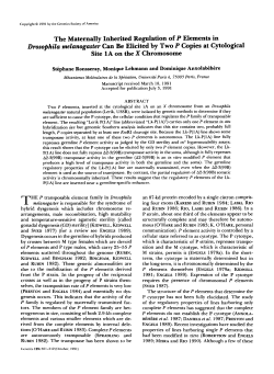 The Maternally Inherited Regulation of P Elements in Drosophila