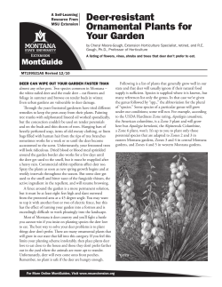 Deer-resistant Ornamental Plants for Your Garden