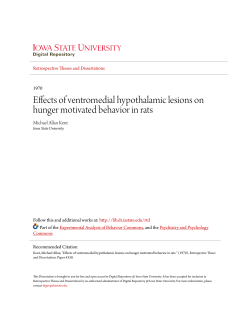 Effects of ventromedial hypothalamic lesions on hunger motivated