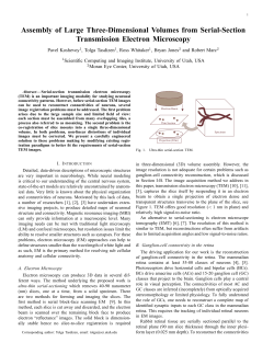 Assembly of Large Three-Dimensional Volumes from Serial