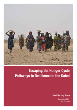 Pathways to Resilience in the Sahel