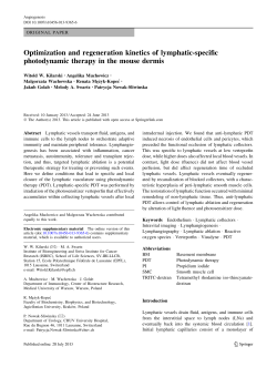 Optimization and regeneration kinetics of lymphatic