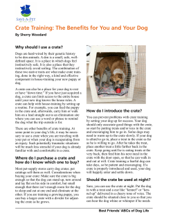 Best Friends` ABCs of Dog Life