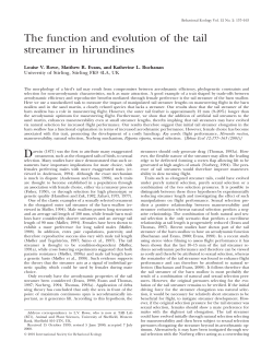 The function and evolution of the tail streamer in