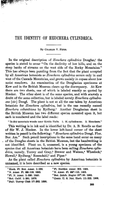 THE IDENTITY OF HEUCHERA CYLINDRICA.