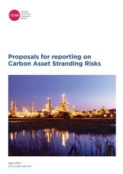 Proposals for reporting on Carbon Asset Stranding Risks