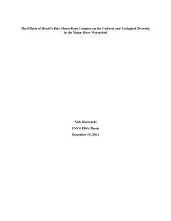 The Effects of Brazil`s Belo Monte Dam Complex on the Cultural and