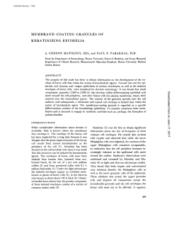 MEMBRANE-COATING GRANULES OF KERATINIZING EPITHELIA