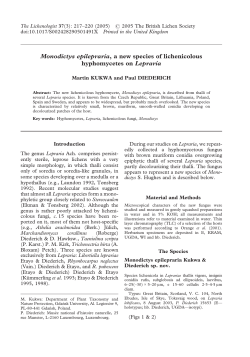 Monodictys epilepraria, a new species of lichenicolous