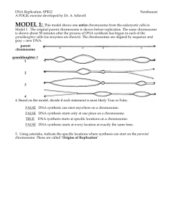 DNA Replication, SPR12 Nemhauser A POGIL exercise developed