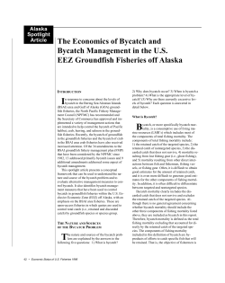 Economics of Bycatch