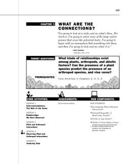 Chapter 7: What are the Connections?