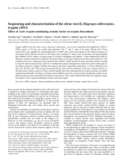 Sequencing and characterization of the citrus weevil, Diaprepes