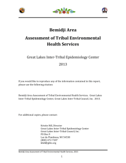 Bemidji Area Assessment of Tribal Environmental Health Services
