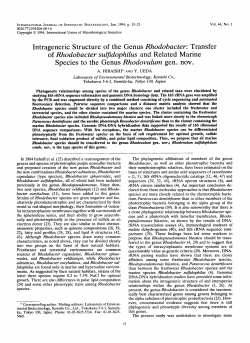 Rhodobacter - International Journal of Systematic and Evolutionary