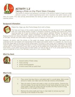 and Print Activity Worksheet