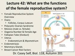 Lecture 42: What are the functions of the female