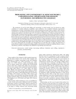 prior selfing and gynomonoecy in silene noctiflora l.