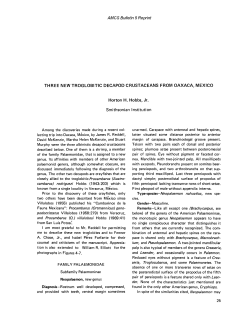 A29-00003 - Association for Mexican Cave Studies Bulletin 5 (July