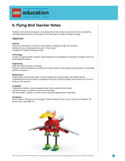 Teacher Notes: Flying Birds File