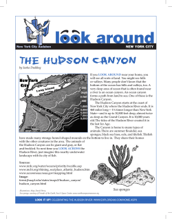 The Hudson Canyon