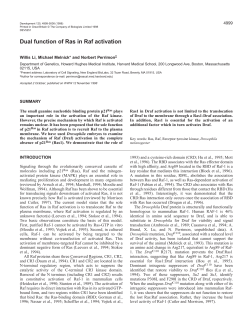 Dual function of Ras in Raf activation