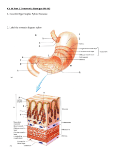 Ch 16 Part 2 Homework: Read pp 456