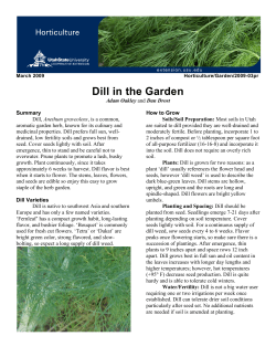 Dill in the Garden - Utah State University Extension