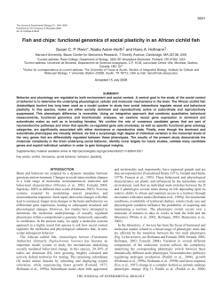 Fish and chips: functional genomics of social plasticity in an African