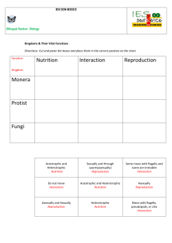 Nutrition Interaction Reproduction Monera Protist Fungi