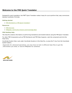 FME Quick Translator