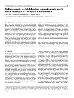 Urokinase-receptor-mediated phenotypic changes in vascular