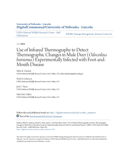 Use of Infrared Thermography to Detect Thermographic Changes in