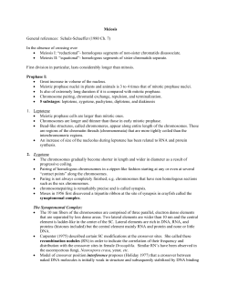 Meiosis General references: Schulz-Schaeffer (1980 Ch. 7) In the