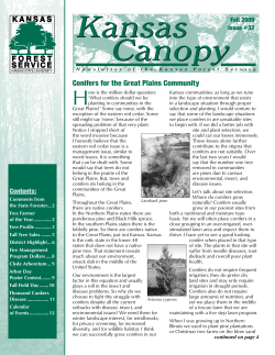 Conifers for the Great Plains Community