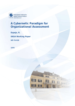 A Cybernetic Paradigm for Organizational Assessment