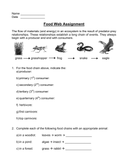 Food Web Assignment