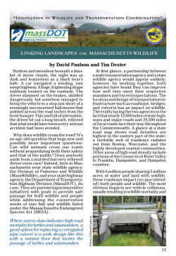 Article on Linking Landscapes from Mass Wildlife Magazine