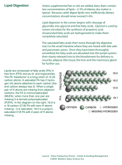 Lipid Digestion