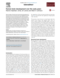 - BIROn - Birkbeck Institutional Research Online