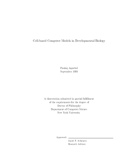 Cell-based Computer Models in Developmental Biology