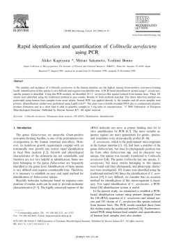 Rapid identification and quantification of Collinsella aerofaciens
